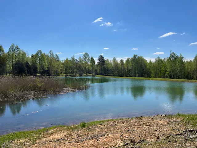 Huggins Haven RV Campground 5