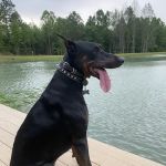 Huggins Haven RV Campground