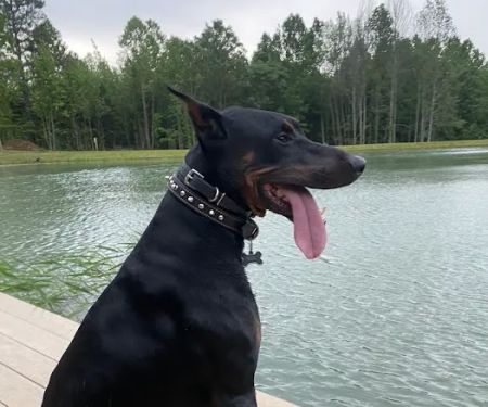 Huggins Haven RV Campground