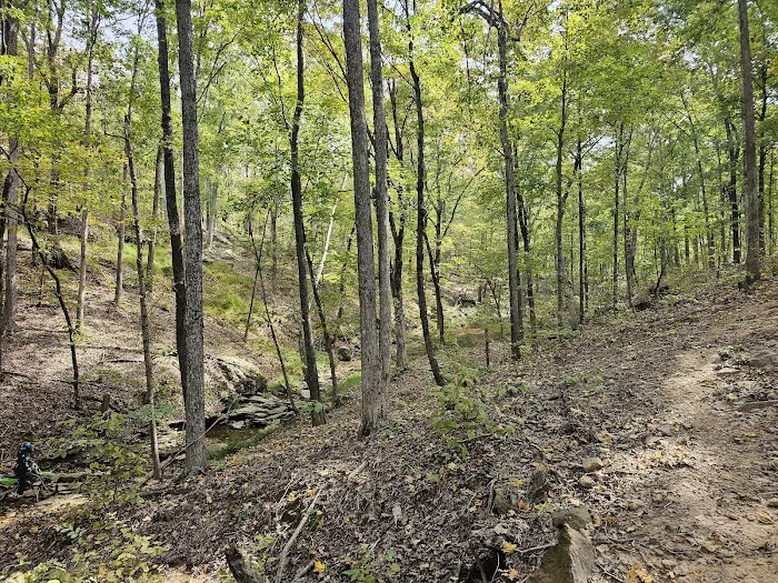 Williams Hill Pass RV Campground & OHV Park 3