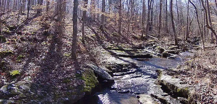 Whispering Harvest Campground 1