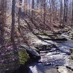 Whispering Harvest Campground