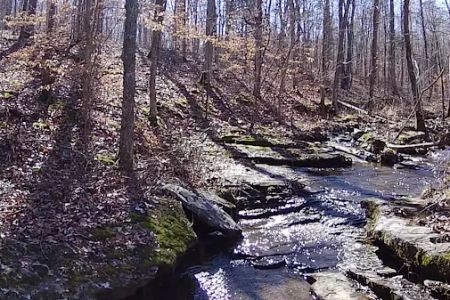Whispering Harvest Campground