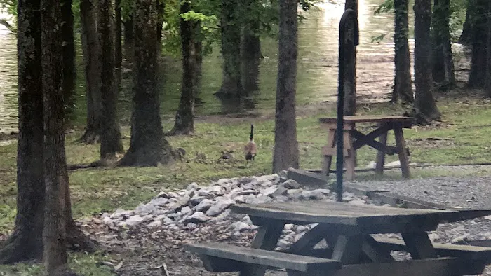 Eureka Recreation Area 6