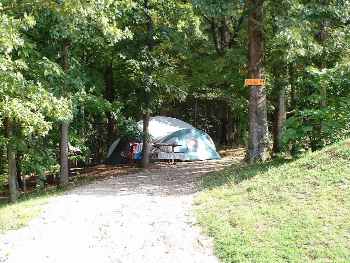 Yogi Bear's Jellystone Park 7