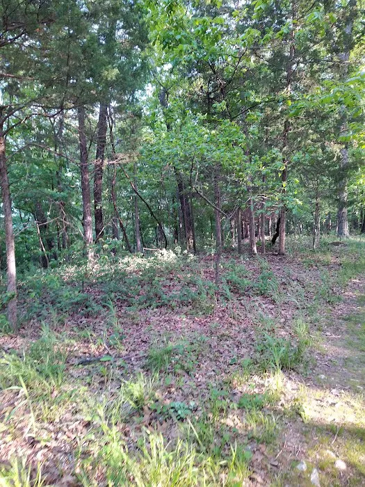 Forrest Staley County Park 1