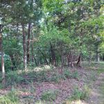 Forrest Staley County Park