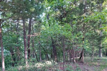 Forrest Staley County Park