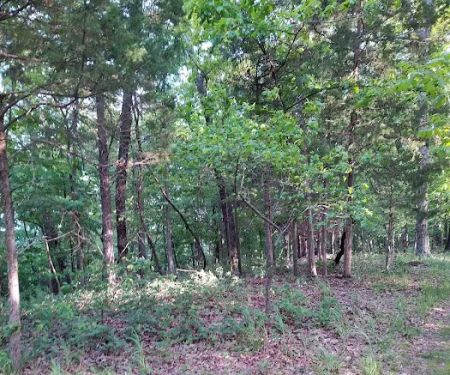 Forrest Staley County Park