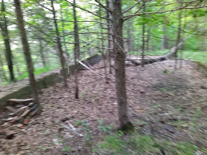 Forrest Staley County Park 6