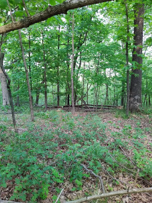 Forrest Staley County Park 4