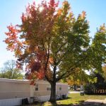 Golden Acres Mobile Home Community-Arnold Fenton Barnhart Imperial MO area