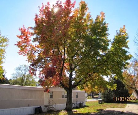 Golden Acres Mobile Home Community-Arnold Fenton Barnhart Imperial MO area