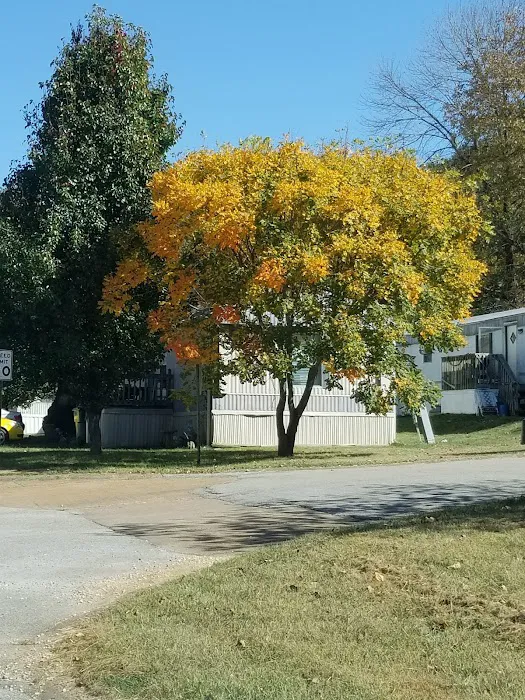 Sycamore Springs 8