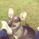 Hunning Hills Mobile Home Park