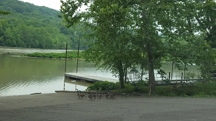 Arnold's Creek Campground & Marina 10