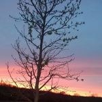 Indian Springs Campground LLP