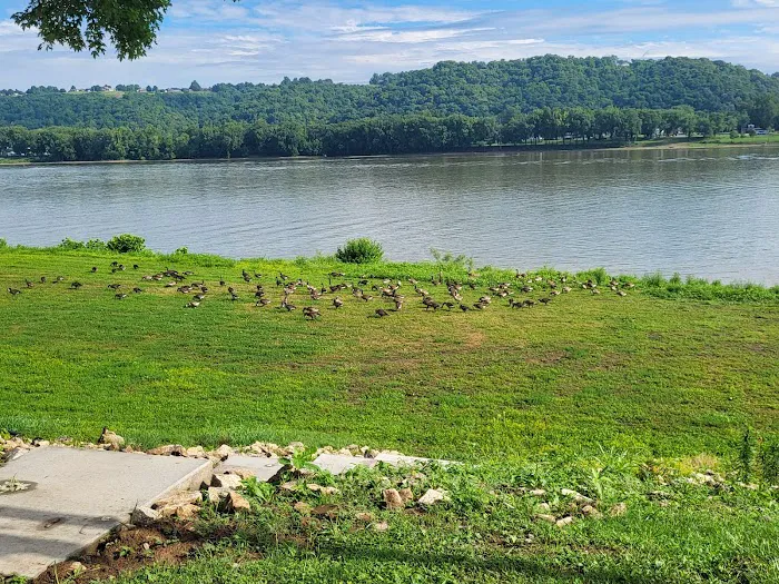 Riverview Campground 10