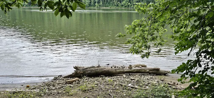 Coopers Creek Campground 8