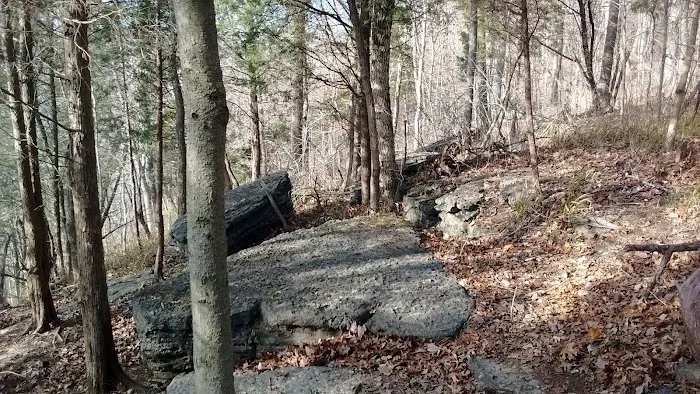 Coopers Creek Campground 7