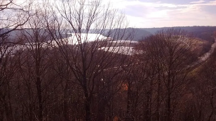 Coopers Creek Campground 10
