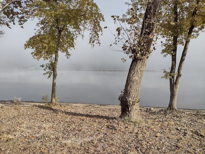 Coopers Creek Campground 9