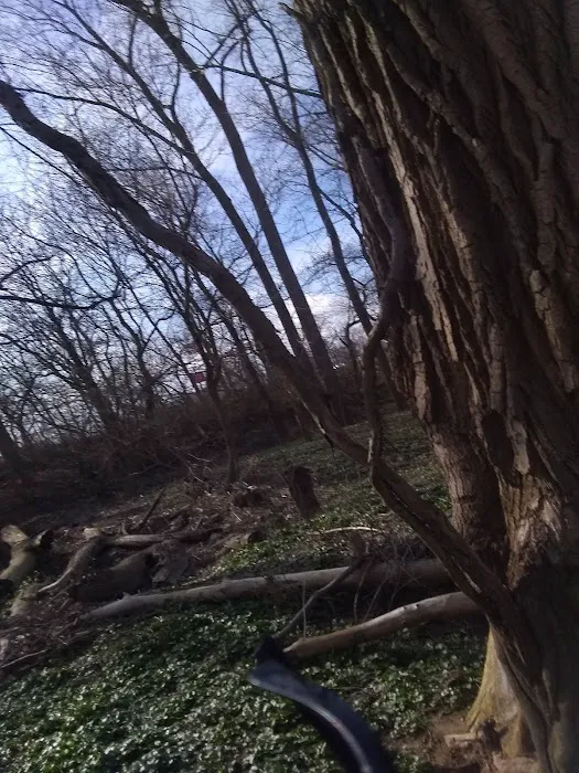 Sunny Acres 3