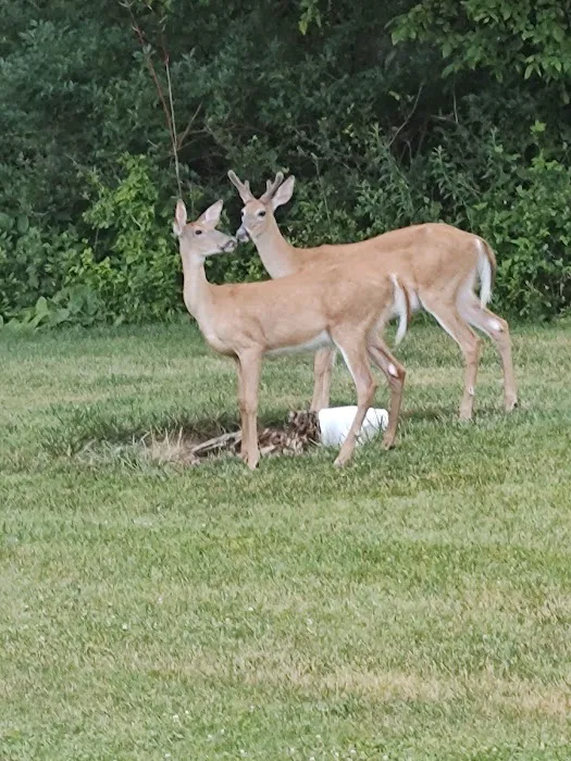 Sunny Acres 8