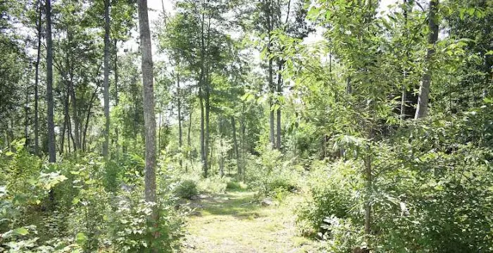 Private RV/Camp Site 1
