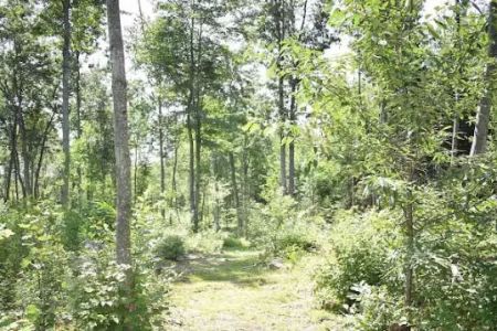 Private RV/Camp Site