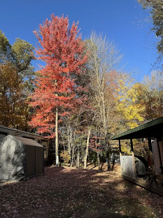 O'Neil Creek Campground 3