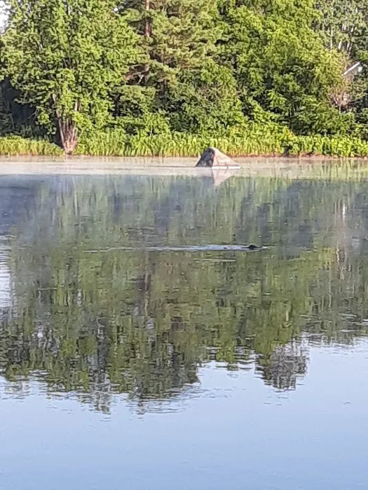 East River Run Campground 2