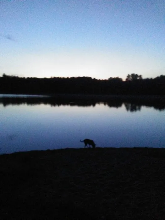 Gibson Lake Park & Campgrounds 5