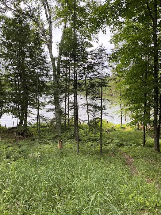 Ski-kwe zaag'igan (Squaw Lake) State Forest Campground 8