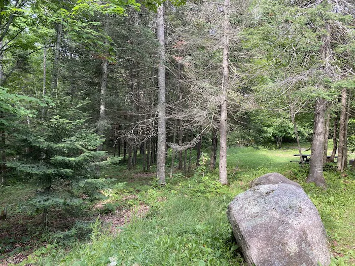 Ski-kwe zaag'igan (Squaw Lake) State Forest Campground 4