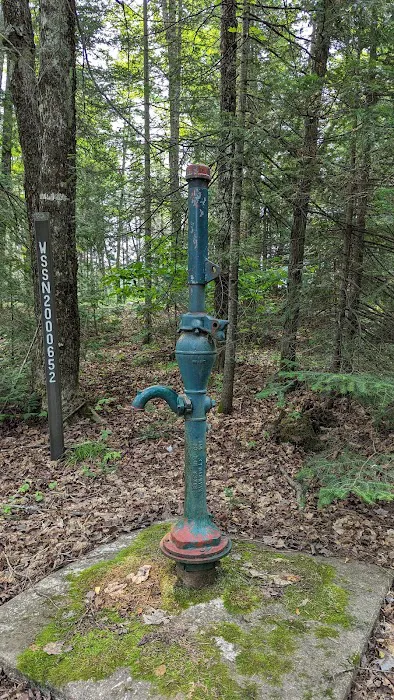 Horseshoe Lake State Forest Campground 3