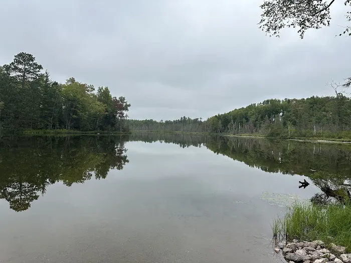 Horseshoe Lake State Forest Campground 6