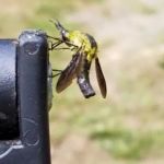 Block House Campground