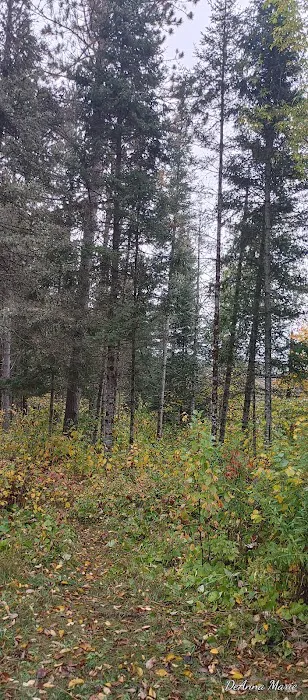 Paint River Forks Campground 1