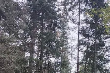 Paint River Forks Campground