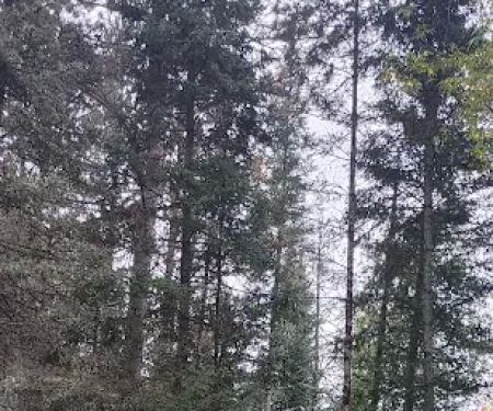 Paint River Forks Campground