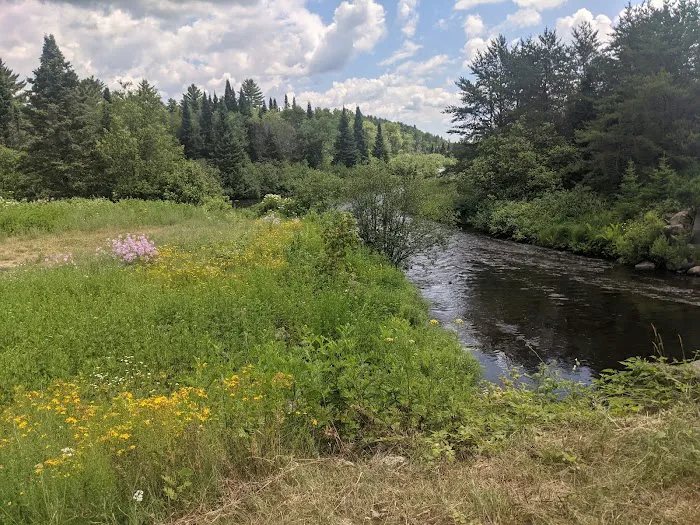 Paint River Forks Campground 4