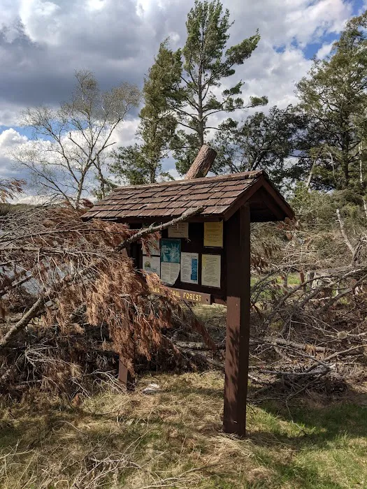 Golden Lake Campground 10
