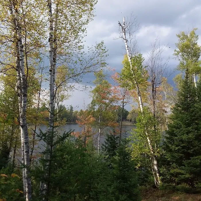 Bass Lake State Forest Campground 1