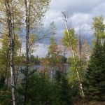 Bass Lake State Forest Campground