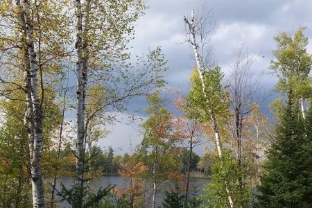 Bass Lake State Forest Campground