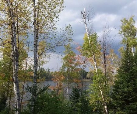 Bass Lake State Forest Campground