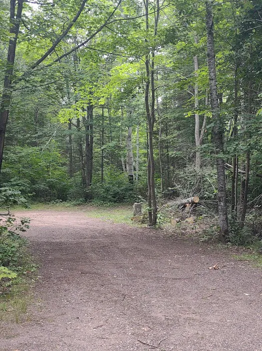 Bass Lake State Forest Campground 7