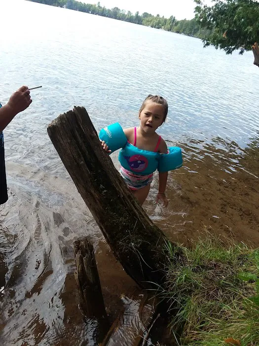 Bass Lake State Forest Campground 4