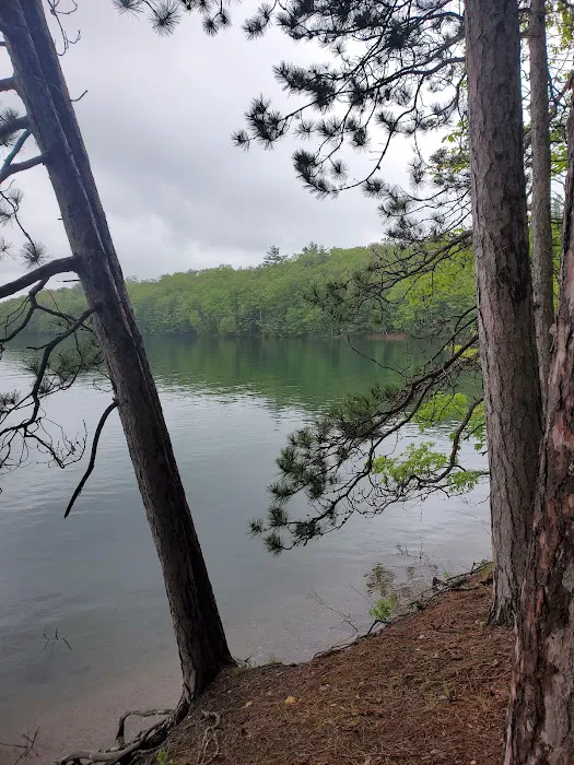 Clear Lake Campground 8